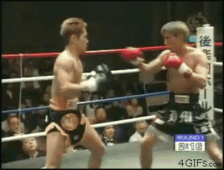 [Image: worst-kickboxing-k-1-knockout-ko.gif]