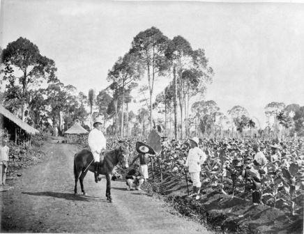 Pelajar Sehat Pelajar Sehat Blog