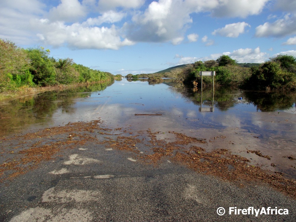 Port Elizabeth Daily Photo Flooding on Seaview Road