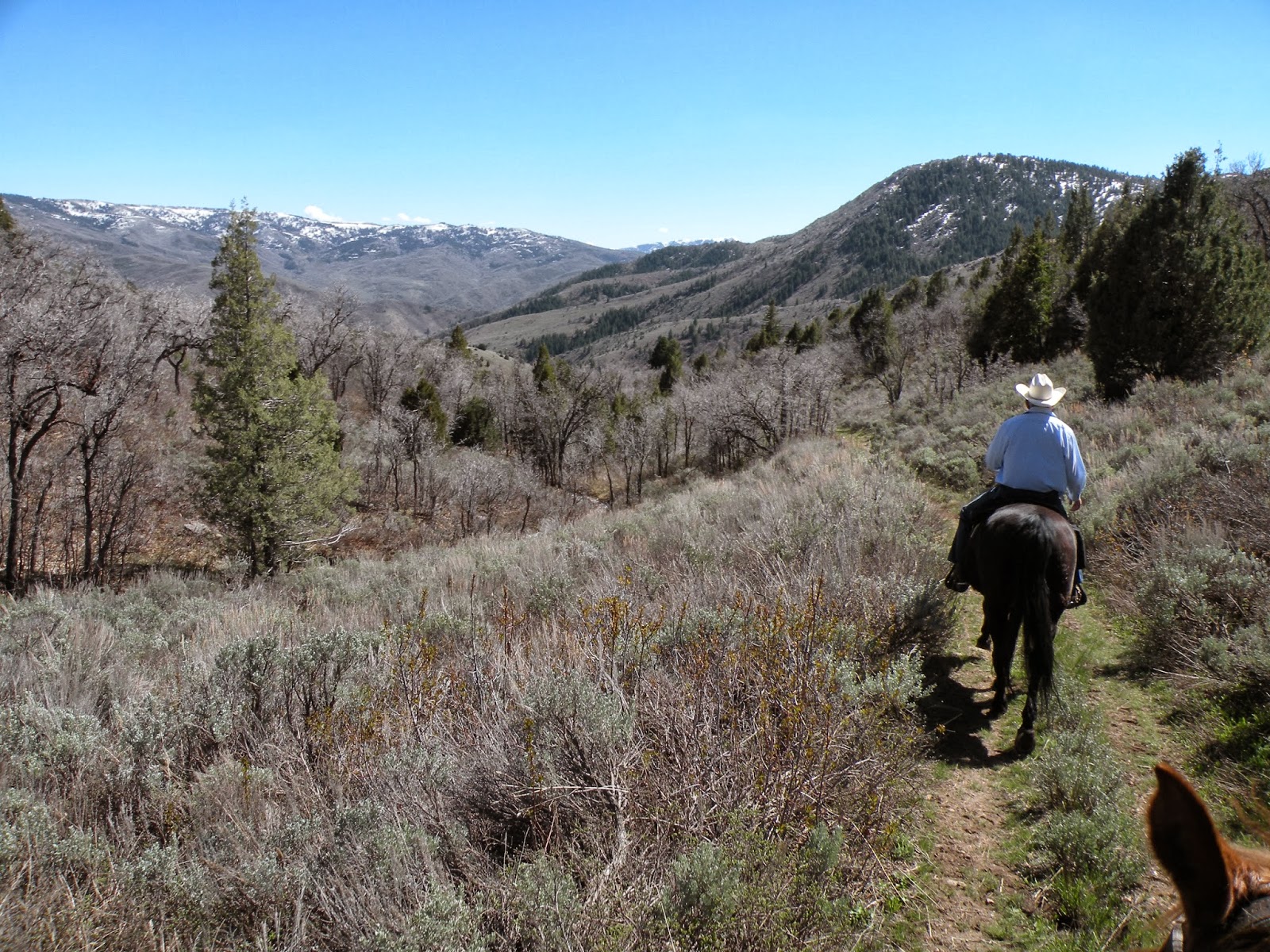 Dream Packer Trail Adventures Cobble Creek, South Fork, Utah