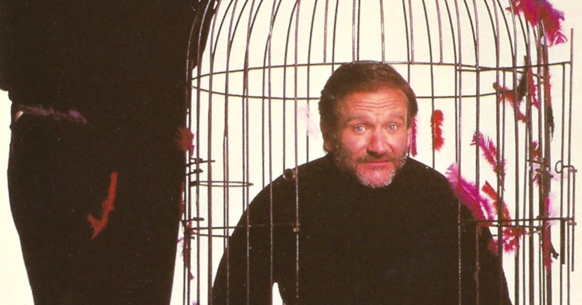 My Favorite Movies and Stars The Birdcage with Robin Williams and