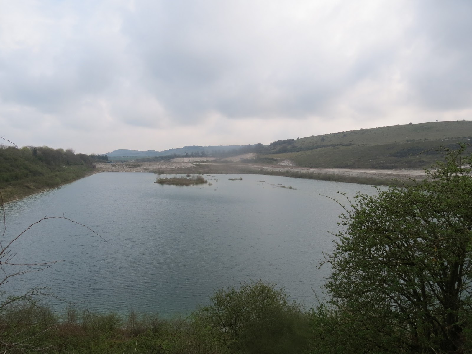 Birding Tring Reservoirs PITSTONE QUARRY in fine fettle