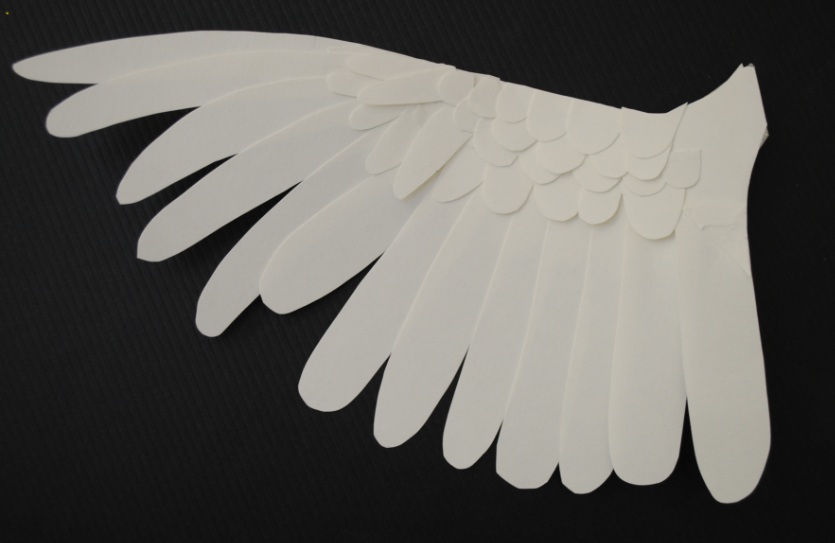 If i had wings essay 200 words picture