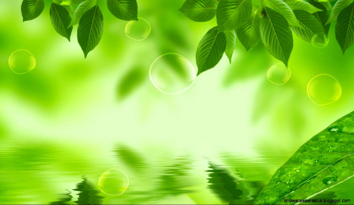 Green Leaf HD Wallpapers HD Wallpapers Green Leaf HD Wallpapers HD Wallpapers