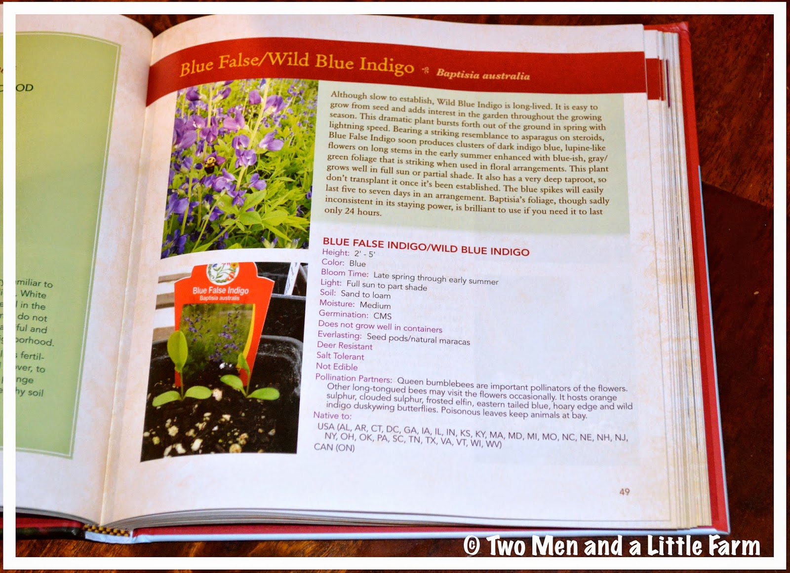 Two Men and a Little Farm TAMING WILDFLOWERS BOOK REVIEW