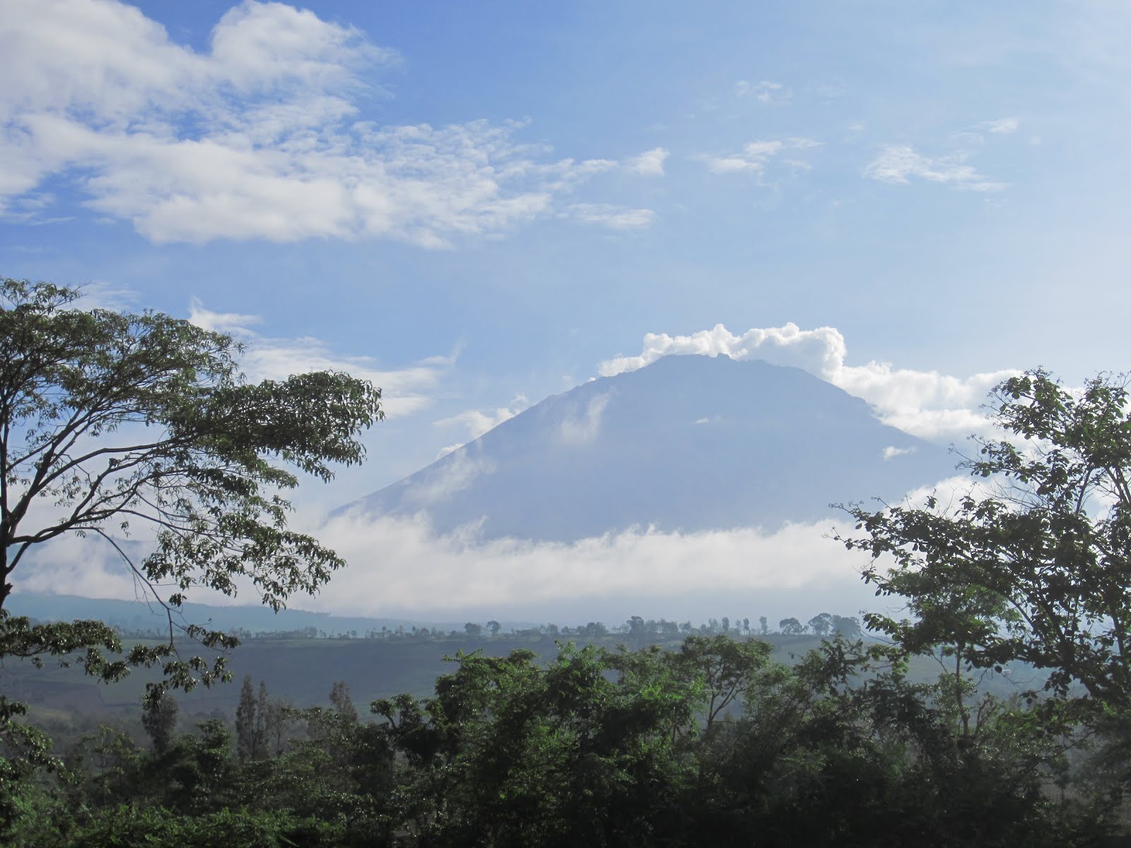 kilimandjaro rencontre au sommet