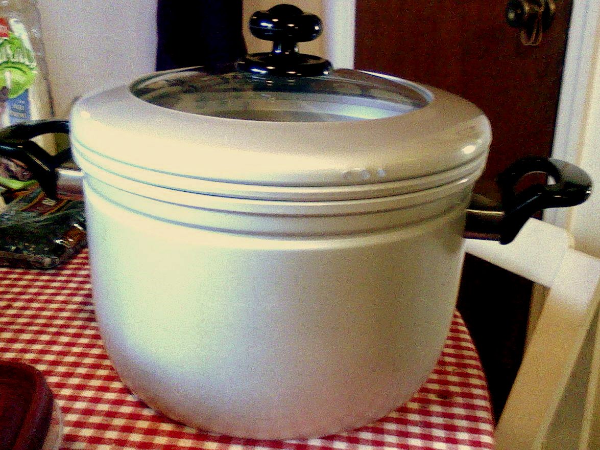 Rising Tides Lessons from a Charleston Rice Steamer