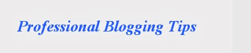 Professional Blogging Tips