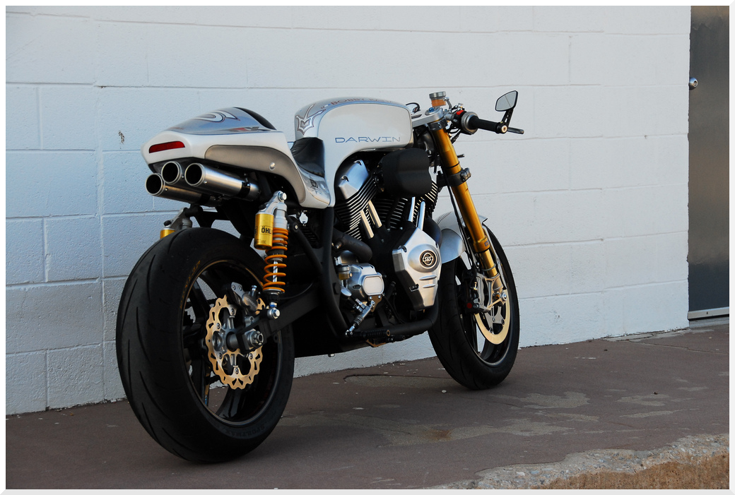 CaraibiRockers Brass Balls Bobber HD Cafe Racer