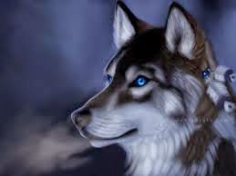 Lobo ojos azules