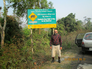 In the Doar Region of W.Bengal.Passed through "Buxa Tiger Reserve" .