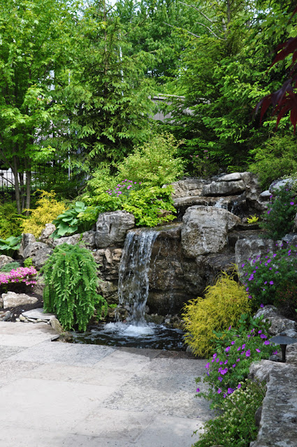 Backyard Water Features For Dogs : Three Dogs in a Garden Pin Ideas Small Water Features & Garden Ponds Backyard Water Features For Dogs : Three Dogs in a Garden Pin Ideas Small Water Features & Garden Ponds