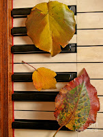 Autumn Piano3