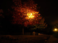 Autumn Night3