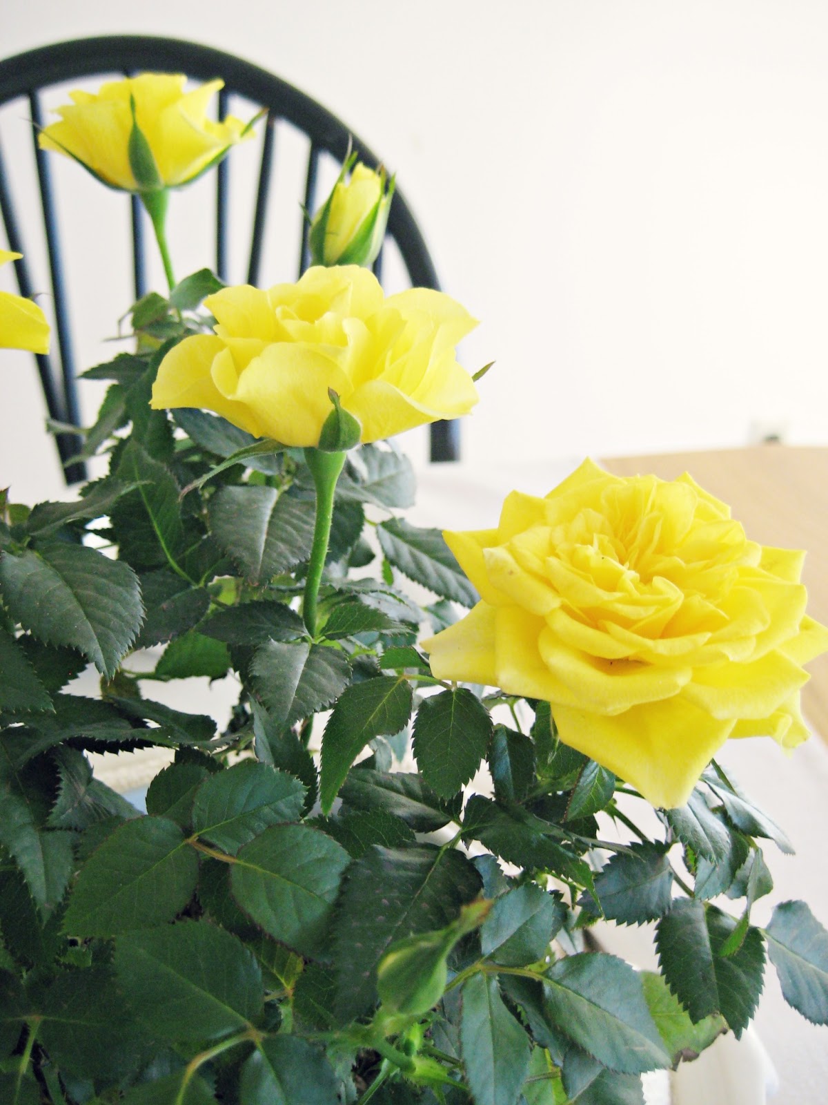Happy At Home Cutting Board Centerpiece