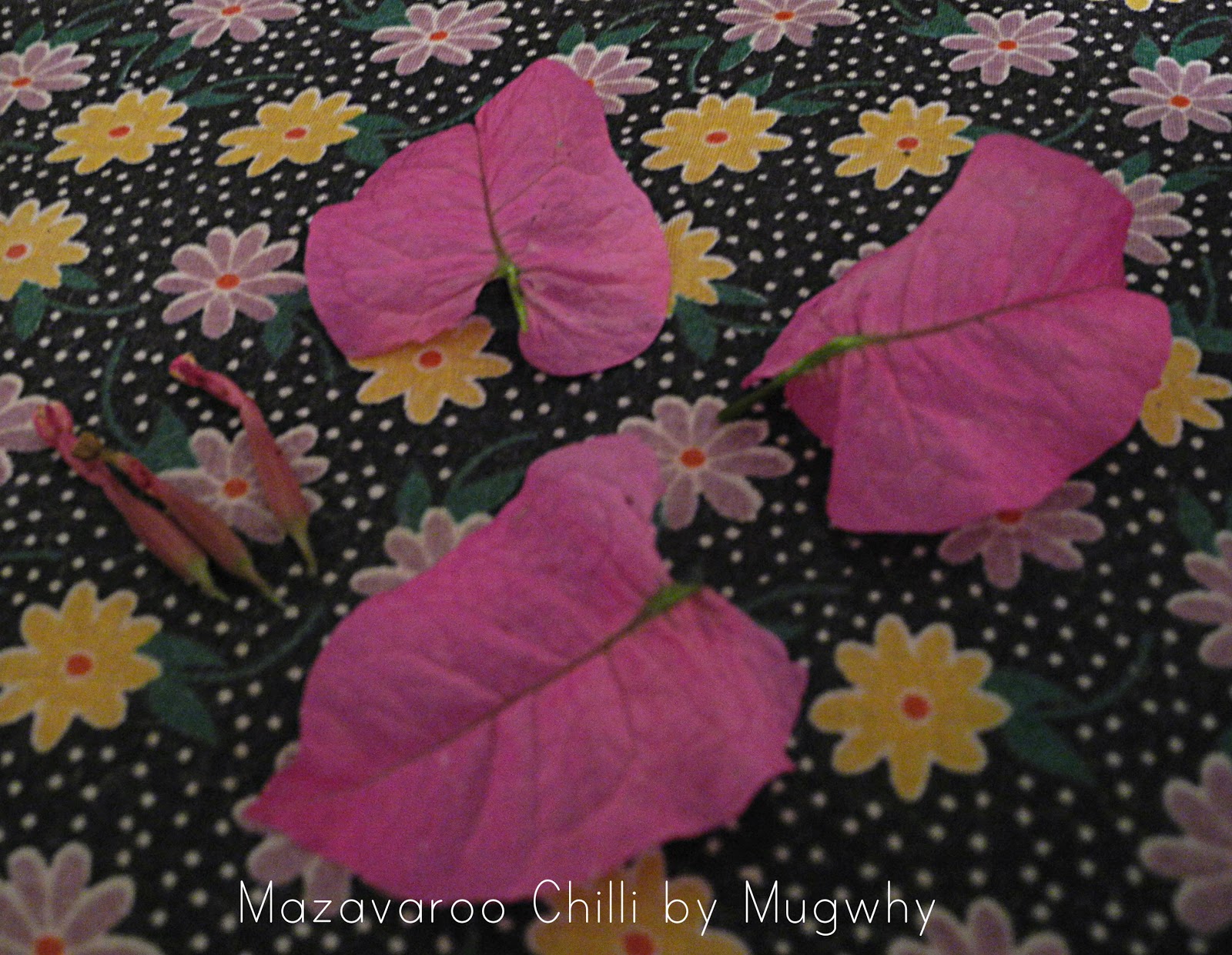 Mugwhys Vintage Wax Paper, Flower, Tea Light Lanterns.... Tutorial