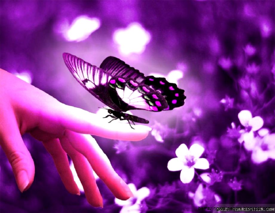 Download Beautiful Flowers And Butterflies Wallpaper 1024x768 Download Beautiful Flowers And Butterflies Wallpaper 1024x768