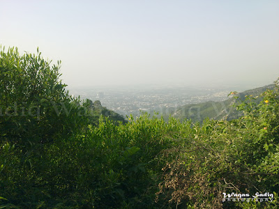 Trail 5, Margalla Hills, Islamabad