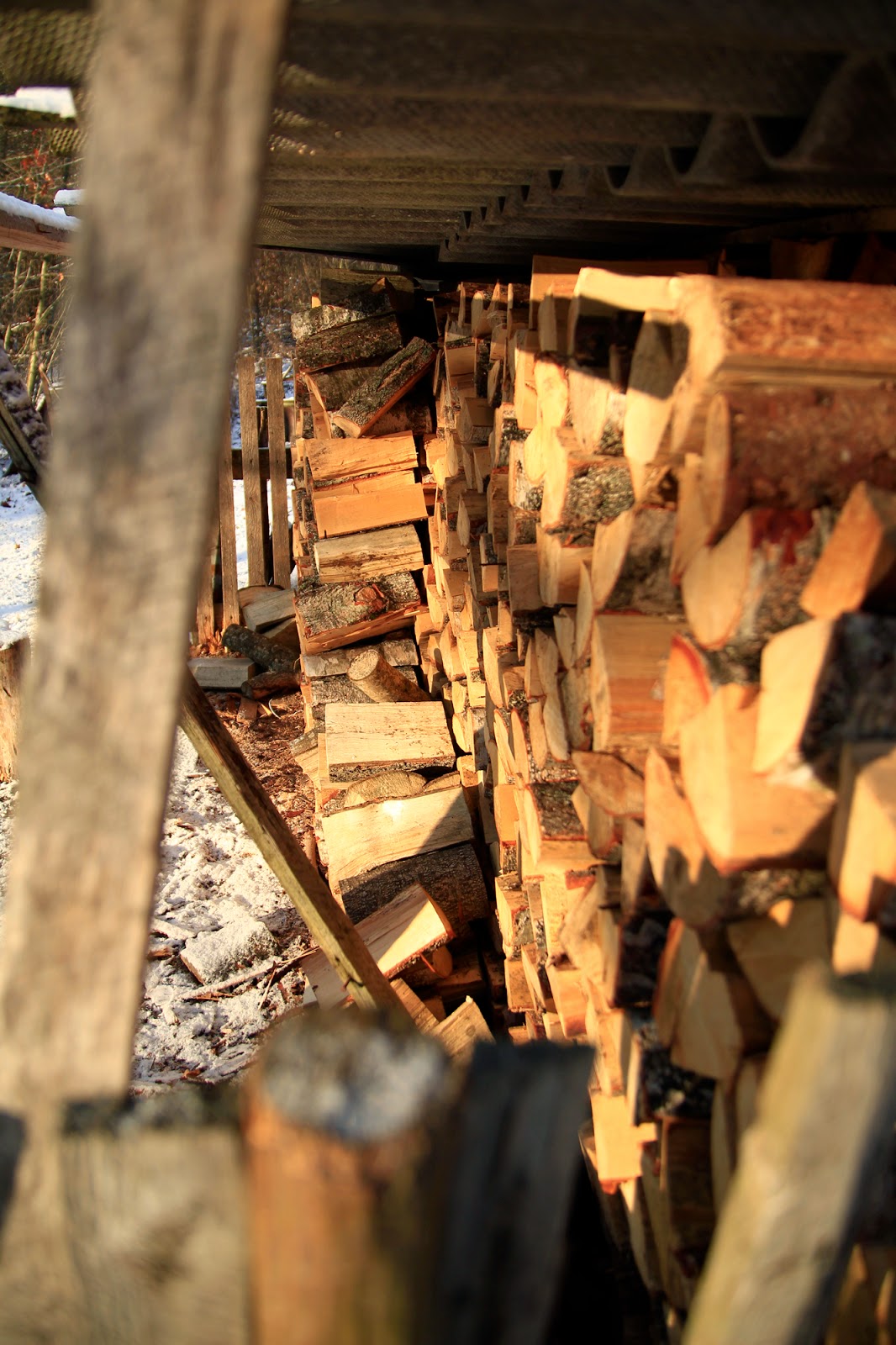 Gwiazdka w Puszczy - Ania w Podróży