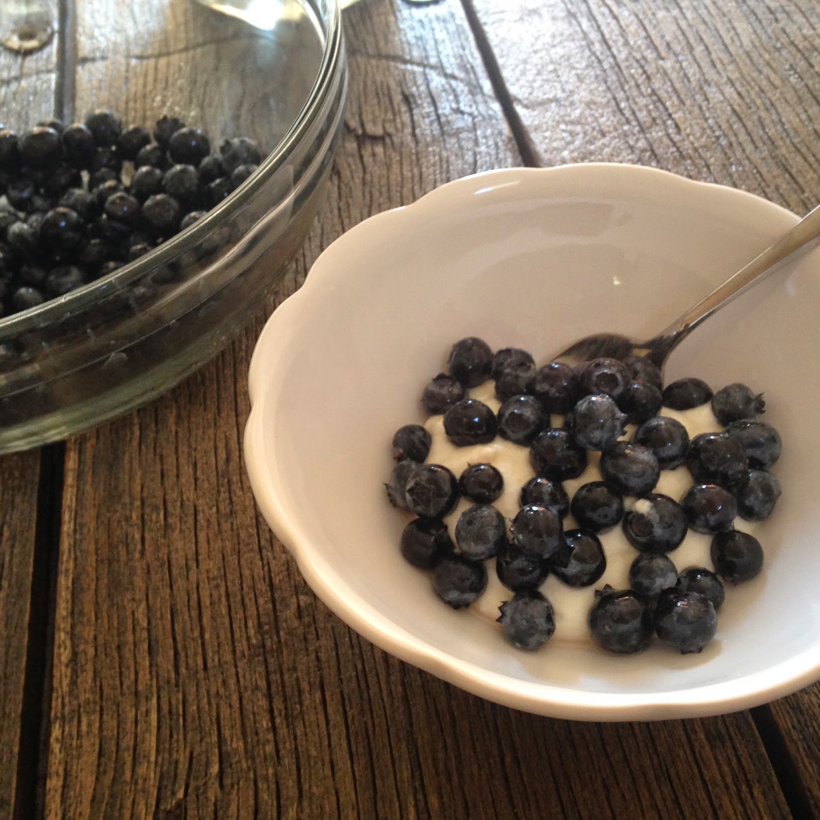 NourishRDs The Dietitian Is In Live & Active Cultures