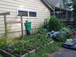 Early Summer 2011