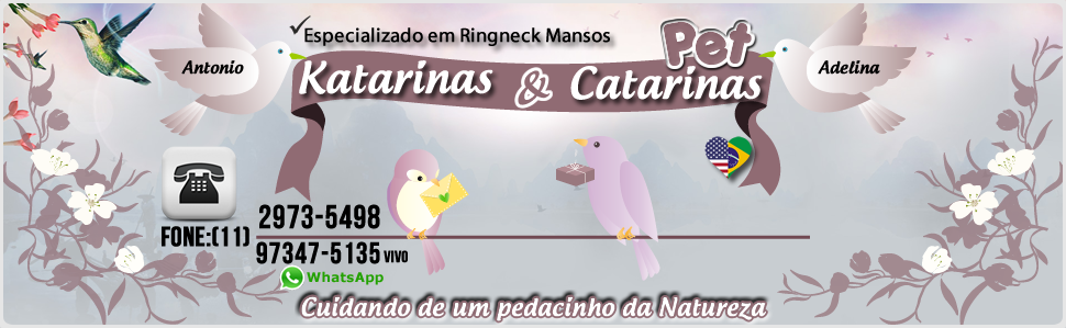 Katarinas e Catarinas PET