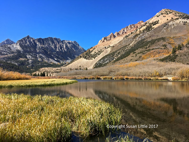 The Camping Queen Whitewater Preserve, California