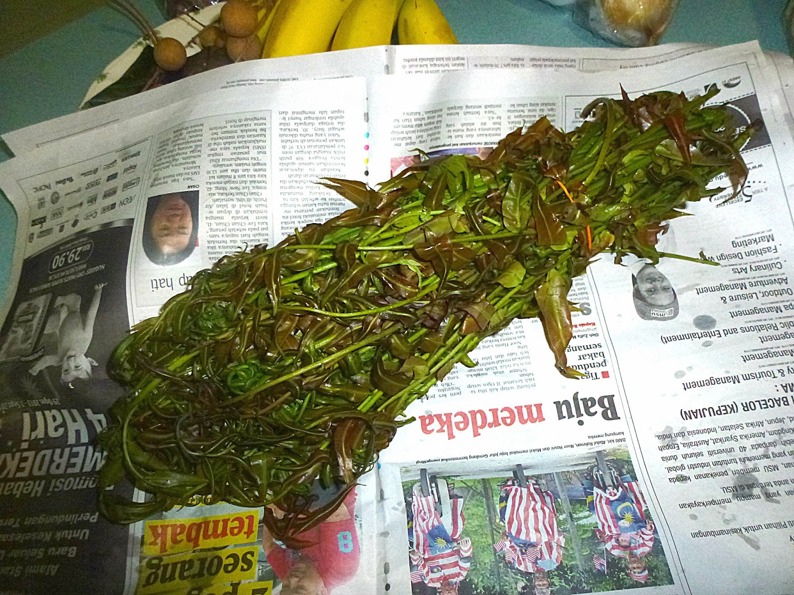 Tertunailah Hasrat Di Hati Resepi Sayur Midin Goreng