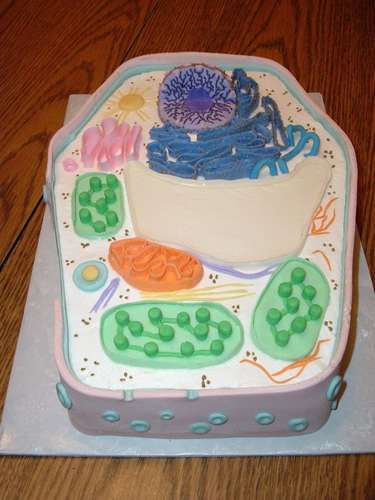 plant cell and animal cell pictures. animal cell cake ideas.