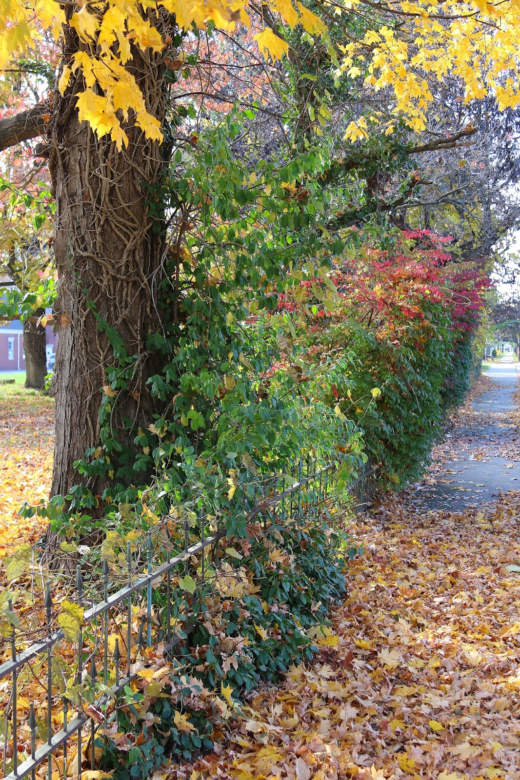 BlueEyed Kentucky Historic Downtown La Grange, Part 1