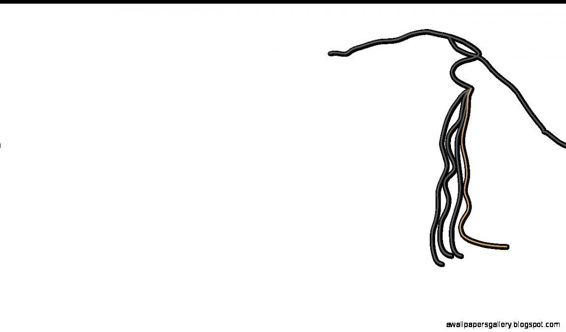 Snow Fall Breakdown How The New York Times Built a Multimedia Snow Fall Breakdown How The New York Times Built a Multimedia