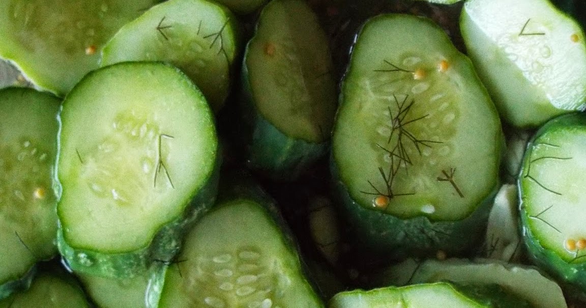 Homemade Dill Pickles (fast. . . no canning required!)