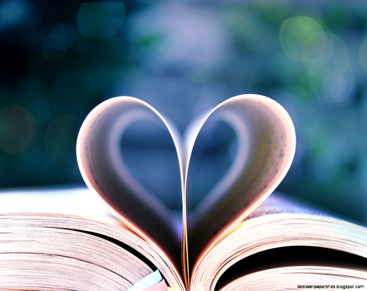 My Favorite Love Story A Place Called Special My Favorite Love Story A Place Called Special