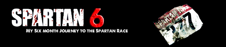 Spartan Six