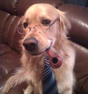 φωτογραφιες, αστειες