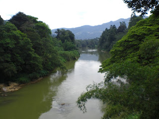 Jardin botanique Kandy