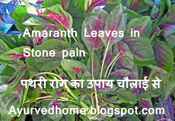 Stone Pain Treatment Home Remedy with Cholai Leaves  पथरी रोग का उपाय चौलाई से  Amaranth Green Leaves for Stone Pain