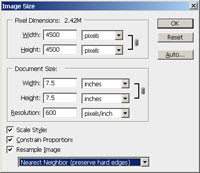 Photoshop Image Size dialog box.