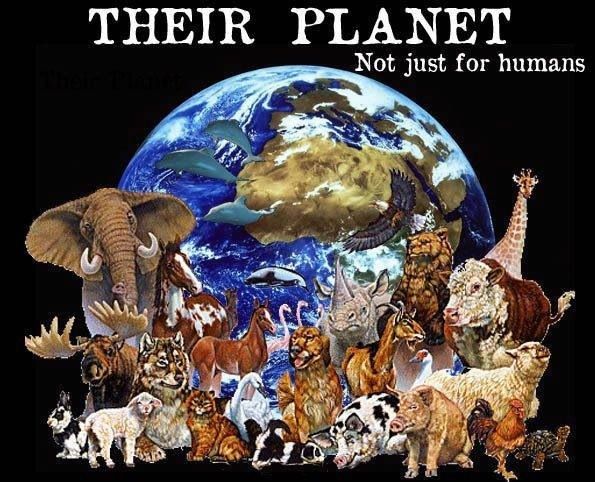 Earth belongs to everyone. Spare animals, Do not eat them.