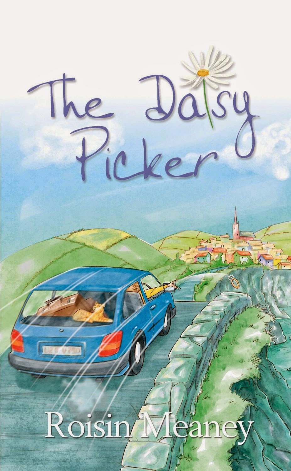 Suze likes, loves, finds and dreams The Daisy Picker by Roisin Meaney