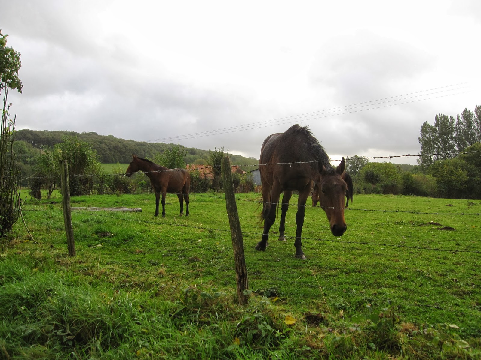 club rencontre aire sur la lys