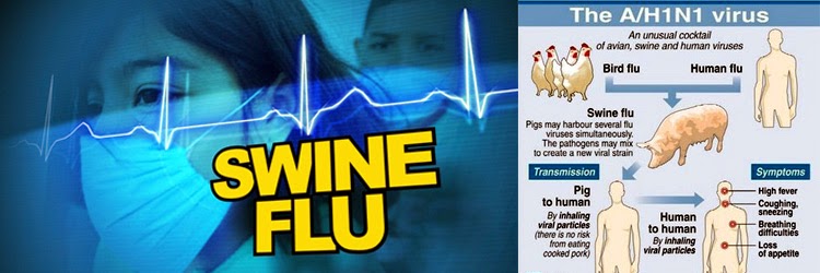 flu babi, swaine flu, flu meksiko, demam, pilek