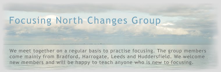 Focusing North Changes Group