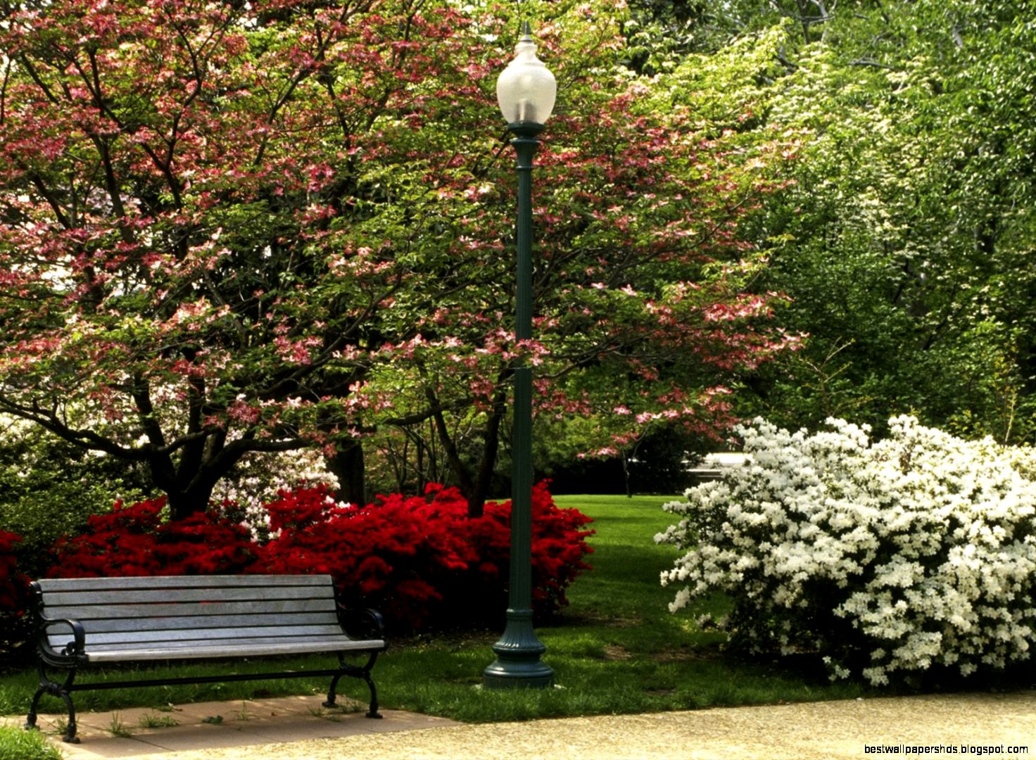 Spring Central Park New York Spring Central Park New York