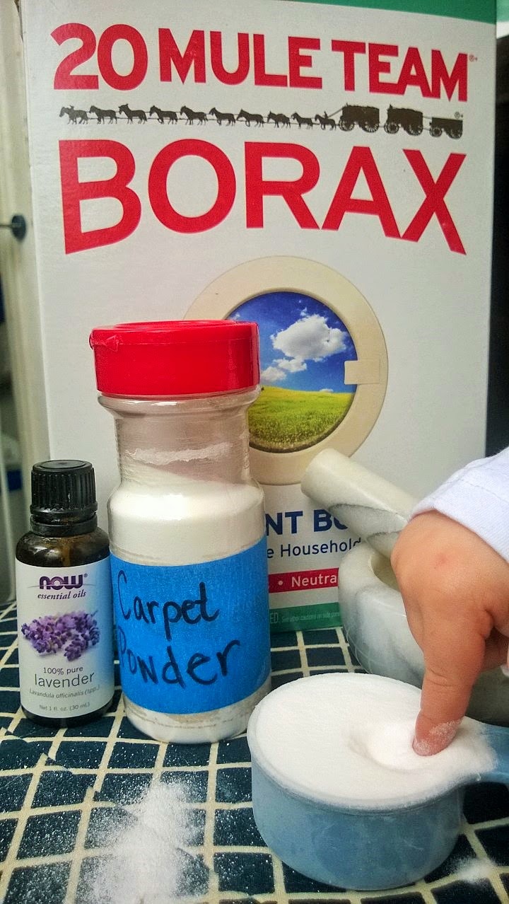 Easy Homemade Carpet Powder