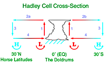 Hadley, ferrel and polar cells picture