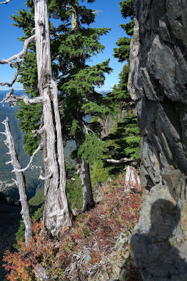 Mackenzie Peak, Alberni-Clayoquot Vancouver Island. Photograph by Matthew Lettington