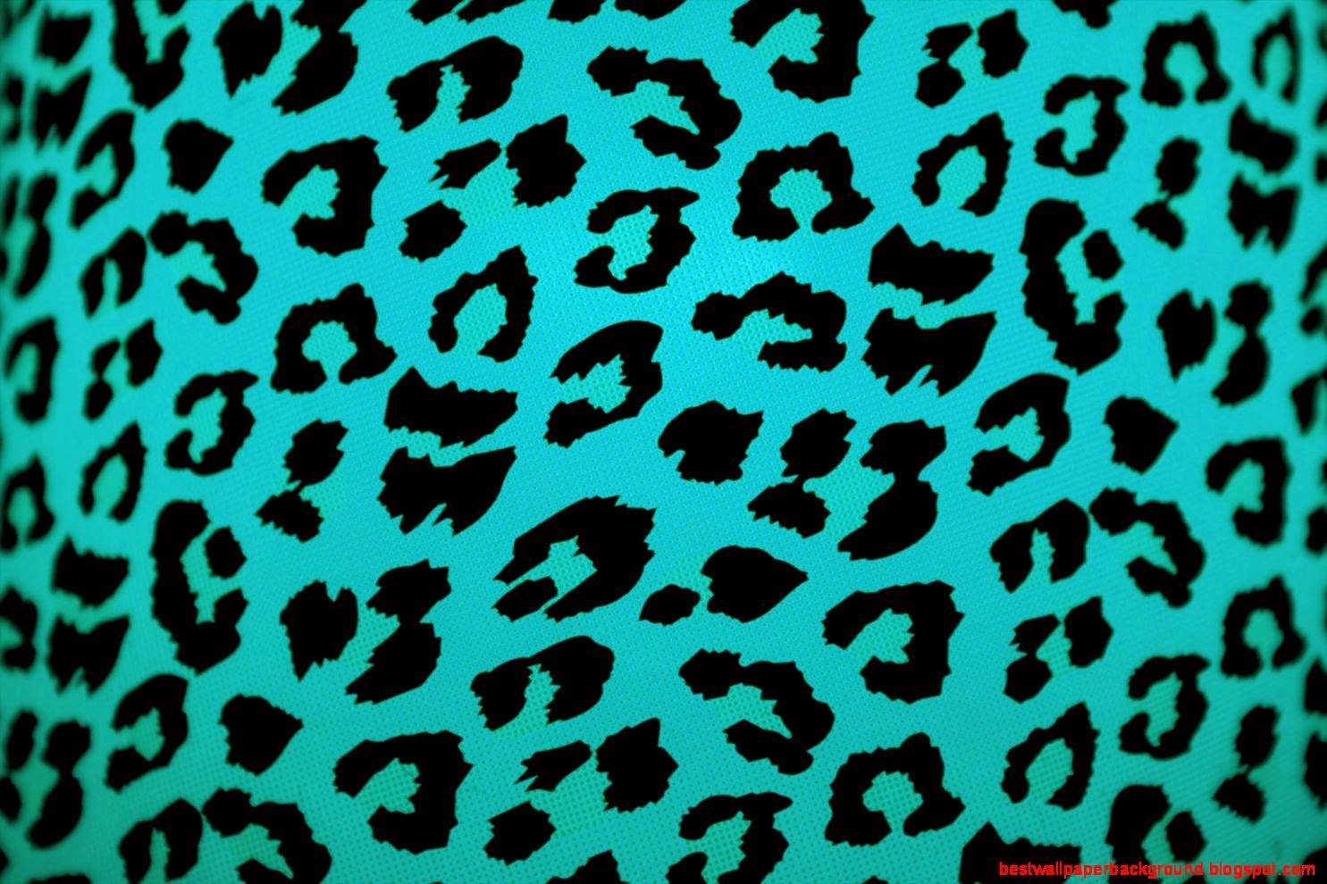 Animal Print Wallpaper Free Download Animal Print Wallpaper Free Download