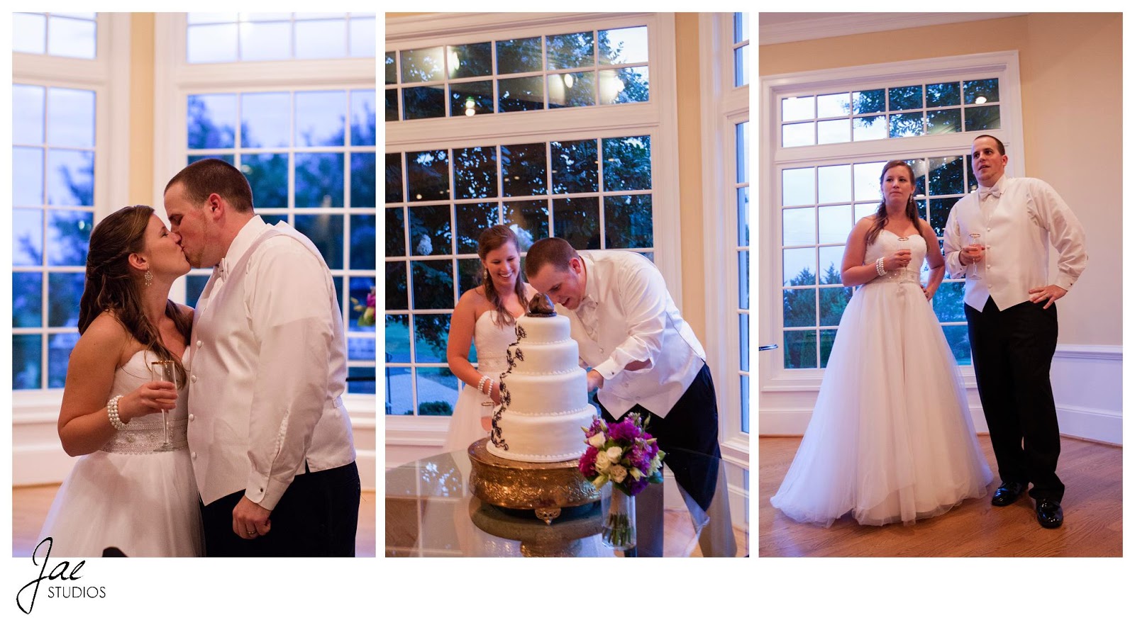 Jonathan and Julie, Bird cage, West Manor Estate, Wedding, Lynchburg, Virginia, Jae Studios, cake, purple, kiss, wedding dress, tuxedo, bride, groom, window, drink, cutting the cake