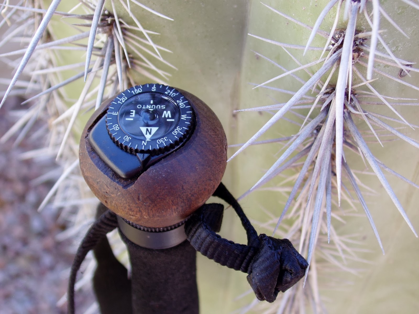 Flying Circus Studios Kurt J. Meyers Hiking Stick Compass